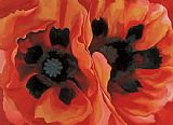 Famous Poppies Paintings - Oriental Poppies